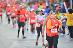 BIB: 26823
                            <button type="button" onclick="openModal(12773977)" class="btn btn-primary btn-sm float-right btn-popup" data-toggle="modal" data-target=".modal-high-quality">
                        <i class="fas fa-shopping-cart"></i> Add to Cart
                    </button>
                                            <button type="button" onclick="isThisMe(12773977, true)" class="btn btn-success btn-sm float-right btn-popup btn-isme hidden" data-toggle="tooltip" data-placement="bottom" title="นี่คือรูปของคุณใช่ไหม คลิกที่นี่เพื่อเอาเข้าอัลบั้ม">
                        <i class="fas fa-plus"></i> Add to album
                    </button>
                    <button type="button" onclick="isThisMe(12773977, false)" class="btn btn-warning btn-sm float-right btn-popup btn-isnotme hidden">
                        <i class="fas fa-ban"></i> Remove from album
                    </button>